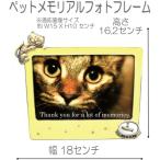 4334 литье под давлением кошка фоторамка кошка L кошка фоторамка CAT фотография длина 
