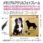 wa. Chan название inserting memorial акрил фоторамка Barneys mountain собака Gold 7020bernesemountaindog-go