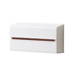 ideaco(イデアコ) 壁に取り付け可能 徳用サイズ ペーパータオルホルダー ホワイト WALL PT2 (ウォールピーティーツー)
