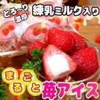  лёд . шт упаковка 25 шарик входить (5 шарик ×5 пакет ). толщина сгущенное молоко молоко небольшое количество . распределение .. рефрижератор конфеты фрукты лёд подарок лето подарок рука земля производство ответ 