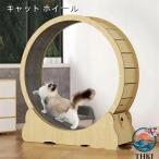  кошка колесо кошка бег колесо кошка беличье колесо тихий звук кошка движение .. еда ..... починка простой удобный домашнее животное . удобный каждый день. беспокойство . популярный item рекомендация 