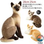  кошка мягкая игрушка настоящий автомобиль m кошка енот кошка чай тигр кошка домашнее животное автомобиль m кошка .. подлинный товар целиком кошка ребенок девочка мужчина ...... нежный 
