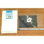 { клик post бесплатная доставка } шоу Rex 2L широкий *2L-W* Grand шкаф штамп 100 листов * фотография пакет высокий zeksHD пакет примерно 22x14.5 см одноцветный половина прозрачный . белый цвет 