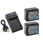 DC61 USB型充電器 と パナソニック VW-V