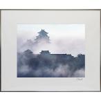  половина порез 201 Himeji замок туман .
