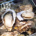 産地直送グルメ│広島牡蠣のカンカン焼き