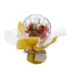  цветок фэн-шуй сухой цветок ba Rune букет красный ( любовь .)