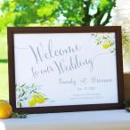  графика welcome board (lifresing лимон )