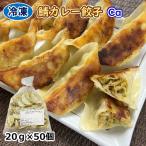 学校給食用食材 鯖カレー餃子(Ca)/20g×50個 冷凍 業務用