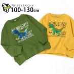 ショッピングスパンコール 薄手トレーナー 裏毛 リバーシブルスパンコール 恐竜 ティラノサウルス 綿100% 色が変わる スウェット ROAAAR 110 120 130 6254523 子供 男の子