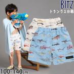 Bit'z ビッツ 水着 トランクス サメ図鑑柄 UVカット B276044 100cm 110cm 120cm 130cm 140cm