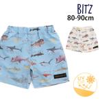 Bit'z 水着 トランクス サーフパンツ サメ図鑑柄 UVカット 海水パンツ ベビー水着 ビッツ 80 90 B276044-1 子供 男の子