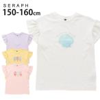 seraph ショートスリーブTシャツ モチーフ シェル アイスバー 綿100% 半袖 セラフ S207163 子供 女の子