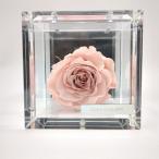 ROSE GALLERYmyuze diamond rose box (M) pink preserved rose interior *3109/. bamboo shop 