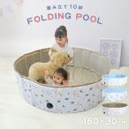 プール 折りたたみプール 家庭用プール ボールプール 空気入れ不要 ビニールプール 小さい 空気入れ不要 砂遊び 子供用 室内 庭 丸型 浅い 160×30cm