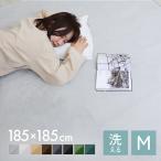 ラグ カーペット 洗える 2畳 厚手 185