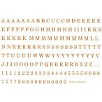 [ транскрипция бумага ] Century initial (b light gold )/ Британия знак алфавит английский язык Logo имя книга@ золотой цифра номер подарок Рождество золотой цвет golden