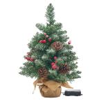クリスマスツリー 卓上ツリー コンパクトツリー LEDライト付き おしゃれ シンプル コンパクト 北欧 クリスマス Xmas リビング 玄関 子供部屋 Wish(ウィッシュ)