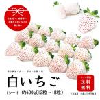 産地直送完熟いちご 白いちご 贈答用 総量約400g 12粒〜18粒
