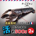 活オマール海老・ブルー（フランス産）　2尾(約500g×2）