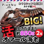 活オマール海老（カナダ産）　2尾(約850g×2）