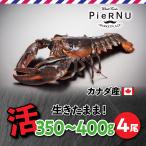 . омар море .( Canada производство ) 4 хвост ( примерно 350~400g×4)
