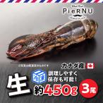 【冷凍】生オマール海老（カナダ産）　3尾(約450g×3）