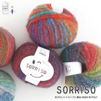 毛糸 【864】 SORRISO(ソリッソ) 極太 1玉 毛糸ピエロ