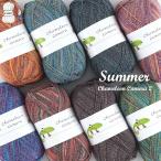 毛糸 【867】 カメレオンカメラ 2 サマー ソックヤーン 合細-中細 1玉 輸入糸 毛糸ピエロ　キャンセル不可※