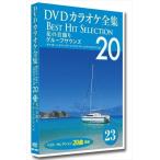 [ привилегия CL есть ] новый товар DVD караоке полное собрание сочинений [Best Hit Selection 20] 23 цветок. шея украшение группа saunz/ (DVD) DKLK-1005-3-KEI