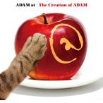[ дополнение CL есть ]The Creation of ADAM / ADAM at (2CD) VICL66031-SK