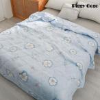 . ватное одеяло одиночный лето ватное одеяло futon ... futon futon лето futon контакт охлаждающий .. futon охлаждающий Kett .... futon незначительный ватное одеяло ..... охлаждающий летний лето futon 