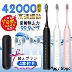  электрический зубная щетка специальный с футляром аукстический щетка заменяемая щетка 4шт.@ имеется usb заряжающийся 6 режим водонепроницаемый высокая скорость колебание устранение бактерий зуб камень удаление зуб . удаление чистка зубов зуб промежуток путешествие командировка 