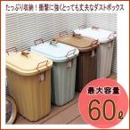 即出荷 ゴミ箱 おしゃれ 屋外 分別 ダストボックス ふた付き 大容量 角型 60L ペール 丈夫 日本製