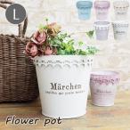  немедленно отгрузка посадочная машина модный цветок цветочный горшок сад pot салон наружный двор легкий meruhen pot L жестяная пластина .... покрытие много мясо декоративное растение 