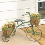 フラワースタンド ガーデニング アイアン 雑貨 三輪車 プランター ガーデン 屋外 室内 おしゃれ 花台 鉢置き オブジェ