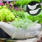  цветочный горшок интерьер садоводство посадочная машина горшок 