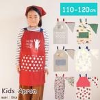  фартук Kids детский мужчина девочка треугольник ширина комплект детский сад начальная школа входить . симпатичный динозавр 