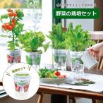  немедленно отгрузка культивирование комплект культивирование комплект салон овощи корнеплоды садоводство садоводство огород овощи культивирование комплект . земля производство сделано в Японии 