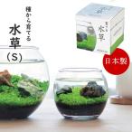  немедленно отгрузка водоросли аквариум культивирование комплект культивирование комплект водоросли комплект садоводство садоводство in bound . земля производство День отца День почитания пожилых людей 