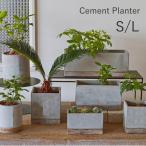 プランター 長方形 おしゃれ 室内 屋外 セメント 植木鉢 ガーデニング 寄せ植え 穴あり