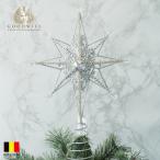 クリスマスツリー 飾り オーナメント ベルギー GOODWILL グッドウィル トップスター 星 シルバー ジュエル 35cm (MO92124)