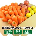 人参 無農薬にんじん 野菜セット 無農薬野菜 にんじんジュース ジュース用 3kg＋りんご1kg＋レモン500g  ゲルソン療法にも最適 訳あり