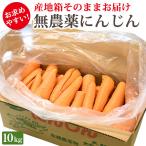 （未検品） にんじん 人参 無農薬人