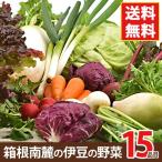 クール便対応 野菜セット 箱根南麓の伊豆の野菜セット 静岡県産 15品目 国産 無農薬 減農薬 機能性野菜