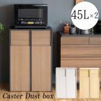 ダストボックス ゴミ箱 ごみ箱 45L 分別 キッチン キャスター付き プッシュオープン プッシュ式 2分割 臭わない 分別ごみ箱