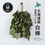  местного производства vi hita Hokkaido производство белый береза do жить .hitawiskwis King sauna палатка low ryuM размер примерно 30cm~40cm 80s