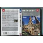  приманка еда стать .... оборудование / б/у DVD прокат /a6671