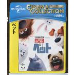 [ новый товар ] домашнее животное / Blue-ray BD/n0271