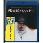 [ новый товар ].. павильон. si Star / Blue-ray BD/n0942